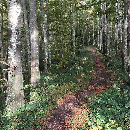 Дом отдыха Primrose *