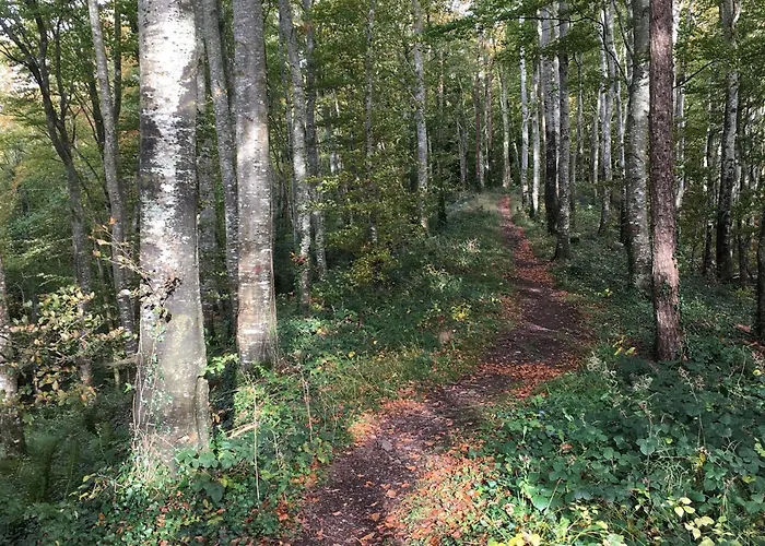 Hébergement de vacances Primrose *